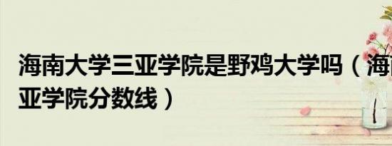 海南大学三亚学院是野鸡大学吗（海南大学三亚学院分数线）