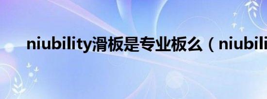 niubility滑板是专业板么（niubility）