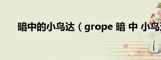 暗中的小鸟达（grope 暗 中 小鸟达）
