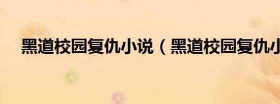 黑道校园复仇小说（黑道校园复仇小说）