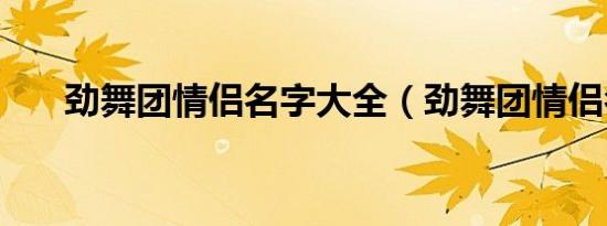 劲舞团情侣名字大全（劲舞团情侣名）