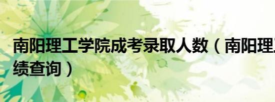 南阳理工学院成考录取人数（南阳理工学院成绩查询）