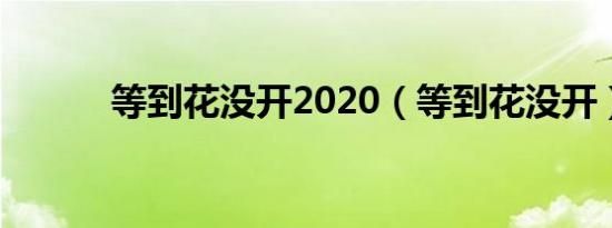 等到花没开2020（等到花没开）