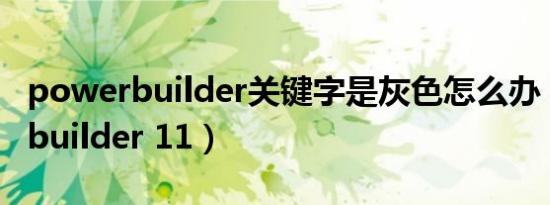 powerbuilder关键字是灰色怎么办（powerbuilder 11）