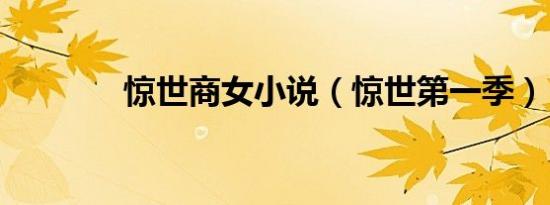 惊世商女小说（惊世第一季）
