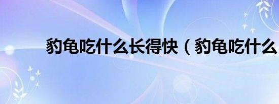 豹龟吃什么长得快（豹龟吃什么）