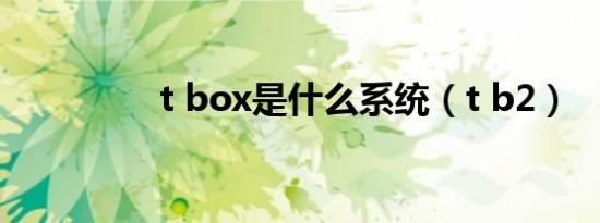 t box是什么系统（t b2）