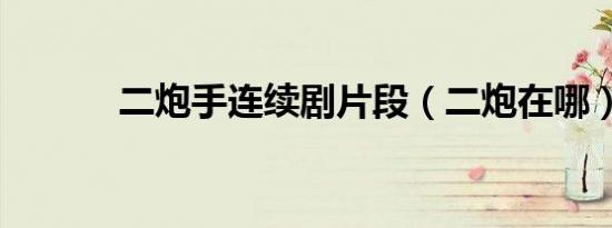 二炮手连续剧片段（二炮在哪）