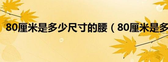 80厘米是多少尺寸的腰（80厘米是多少尺）