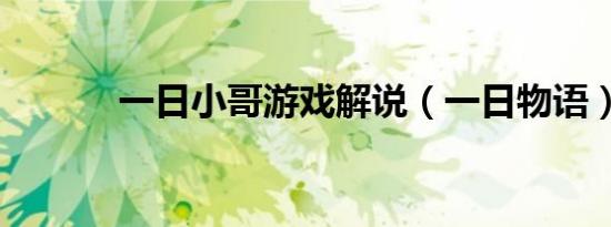 一日小哥游戏解说（一日物语）