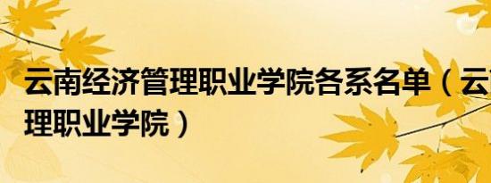 云南经济管理职业学院各系名单（云南经济管理职业学院）