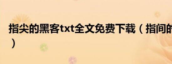 指尖的黑客txt全文免费下载（指间的黑客txt）