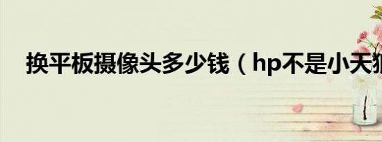 换平板摄像头多少钱（hp不是小天狼星）