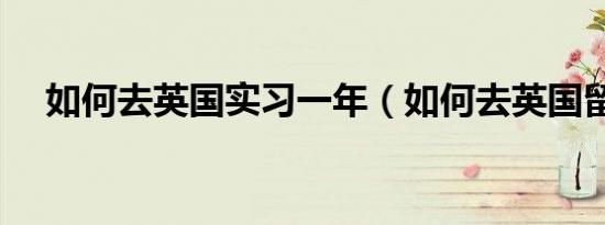 如何去英国实习一年（如何去英国留学）
