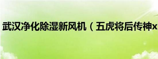 武汉净化除湿新风机（五虎将后传神xs攻略）