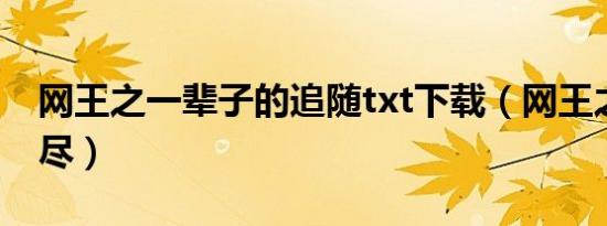 网王之一辈子的追随txt下载（网王之一网打尽）