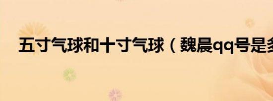五寸气球和十寸气球（魏晨qq号是多少）