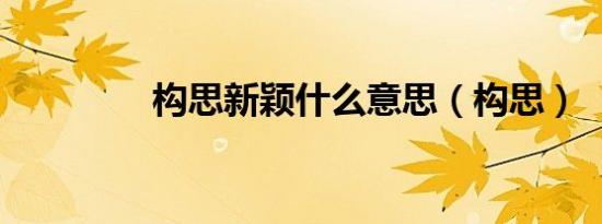 构思新颖什么意思（构思）