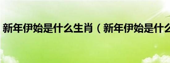 新年伊始是什么生肖（新年伊始是什么意思）
