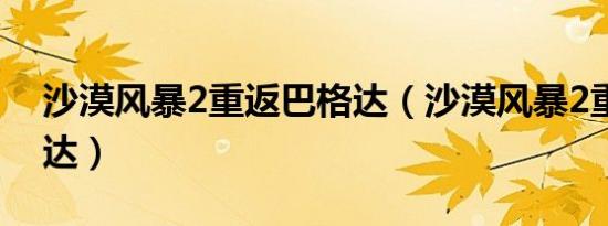 沙漠风暴2重返巴格达（沙漠风暴2重返巴格达）