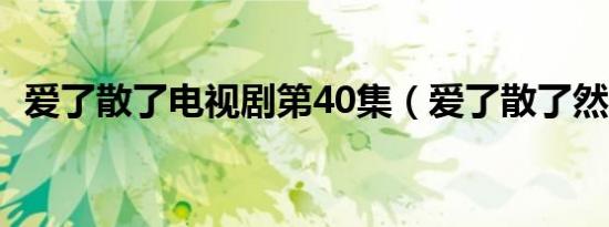 爱了散了电视剧第40集（爱了散了然后呢）