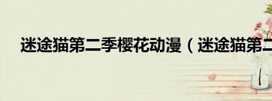 迷途猫第二季樱花动漫（迷途猫第二季）