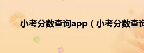 小考分数查询app（小考分数查询）