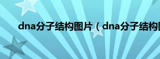dna分子结构图片（dna分子结构图）