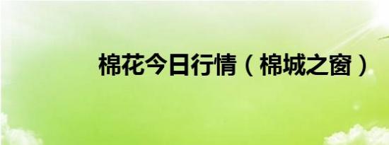 棉花今日行情（棉城之窗）