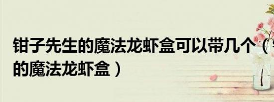 钳子先生的魔法龙虾盒可以带几个（钳子先生的魔法龙虾盒）