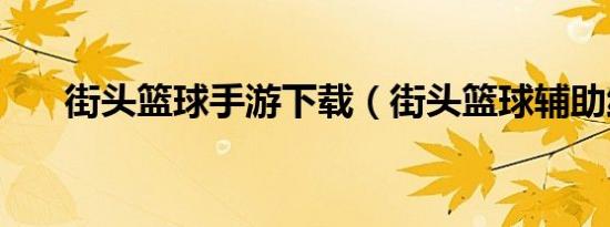 街头篮球手游下载（街头篮球辅助线）