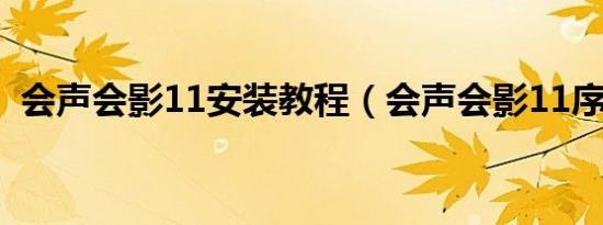 会声会影11安装教程（会声会影11序列号）