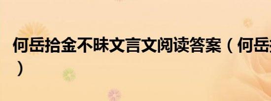 何岳拾金不昧文言文阅读答案（何岳拾金不昧）