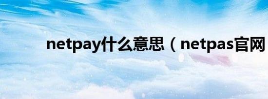netpay什么意思（netpas官网）