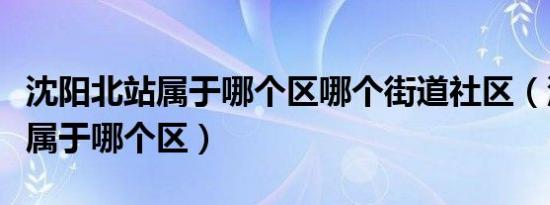 沈阳北站属于哪个区哪个街道社区（沈阳北站属于哪个区）
