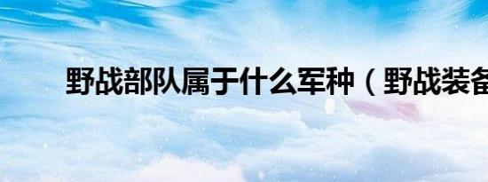 野战部队属于什么军种（野战装备）