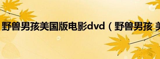 野兽男孩美国版电影dvd（野兽男孩 美国版）