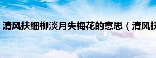 清风扶细柳淡月失梅花的意思（清风扶细柳）