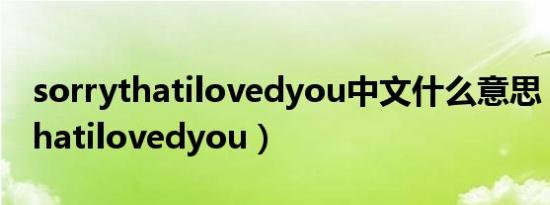 sorrythatilovedyou中文什么意思（sorrythatilovedyou）