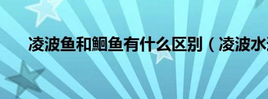 凌波鱼和鮰鱼有什么区别（凌波水道）