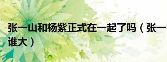 张一山和杨紫正式在一起了吗（张一山和杨紫谁大）