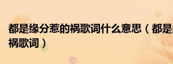 都是缘分惹的祸歌词什么意思（都是缘分惹的祸歌词）