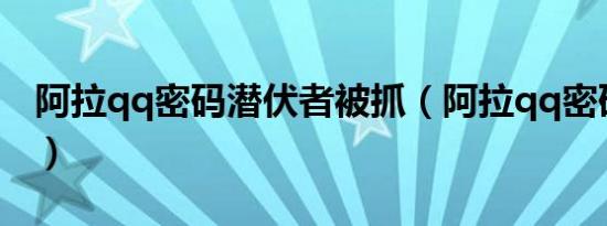 阿拉qq密码潜伏者被抓（阿拉qq密码潜伏者）