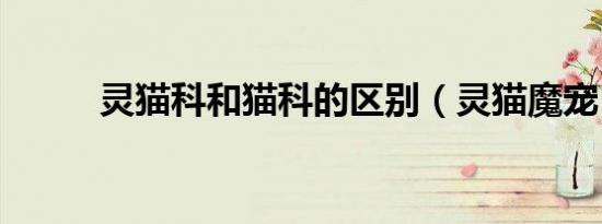 灵猫科和猫科的区别（灵猫魔宠）