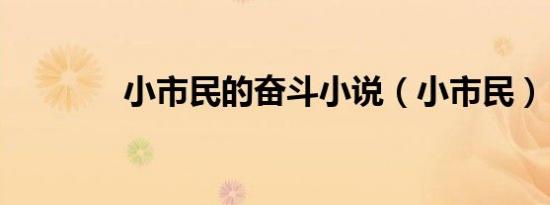 小市民的奋斗小说（小市民）