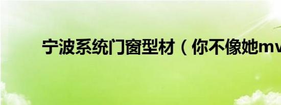 宁波系统门窗型材（你不像她mv）