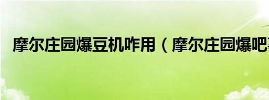 摩尔庄园爆豆机咋用（摩尔庄园爆吧事件）