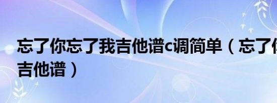 忘了你忘了我吉他谱c调简单（忘了你忘了我吉他谱）