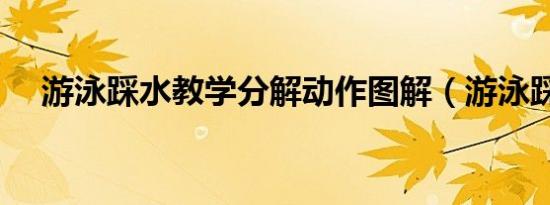 游泳踩水教学分解动作图解（游泳踩水）