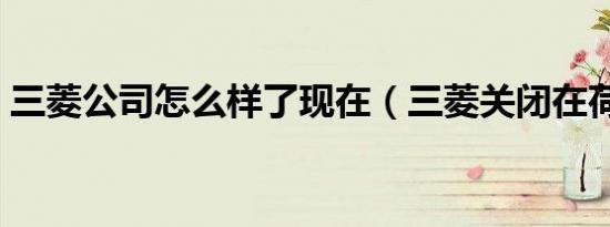 三菱公司怎么样了现在（三菱关闭在荷企业）